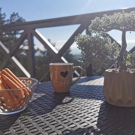 아파트 Colovic, Planina Tara, 바레